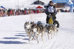 Lenk 2013